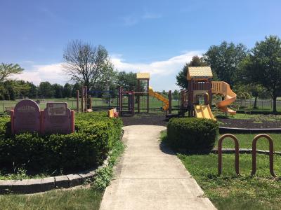 Trees Subdivision