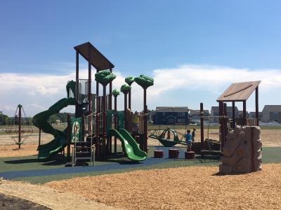 Randolph Street Park Playground